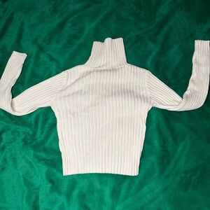 Ribbed turtleneck sweater